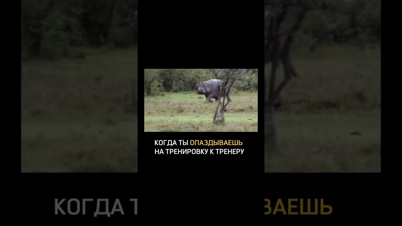У кого так было? Признавайтесь