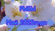 РЫБЫ 🐟 Расклад Таро на май 2025 года