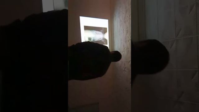 CoursN°1 pour ISP. détresse respiratoire chez le nouveau-né, vomissements chez l'enfant et NRS.