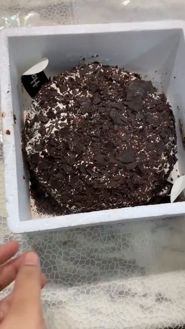 1kg Havmor Black Forest ice cream cake | super tasty & delicious | Ultimate Delicacies