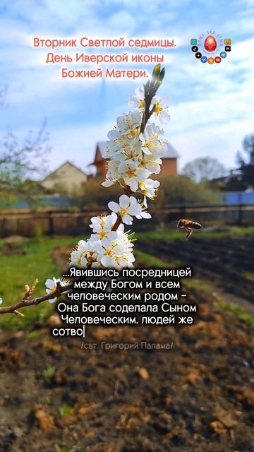 Между Богом и человеком...