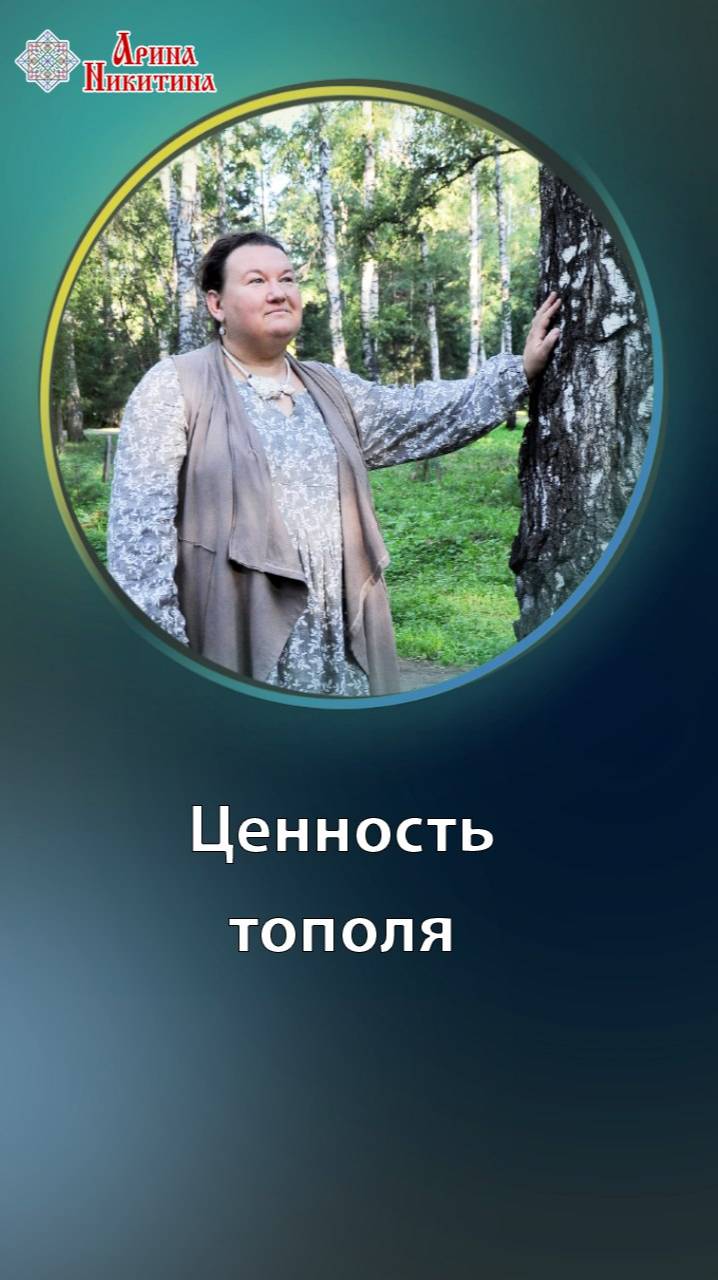 Ценность тополя. Полезные свойства и применения | Арина Никитина