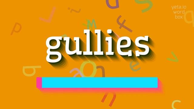 HOW TO SAY GULLIES?