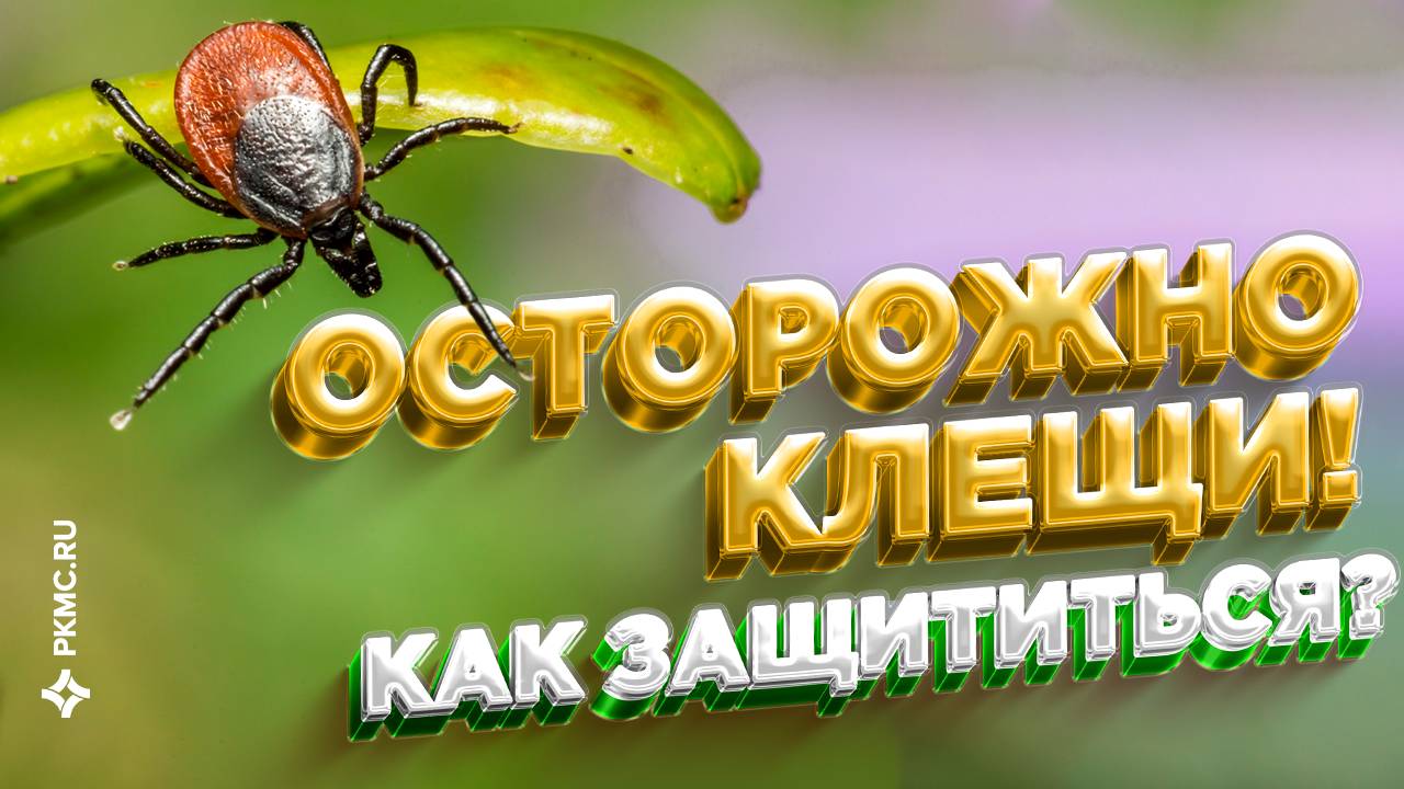 Защити себя и своих близких от клещей! Всё о прививке от энцефалита.