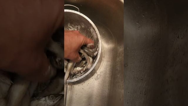 МОЙВА ВКУСНЯШКА ЖАРЕНАЯ