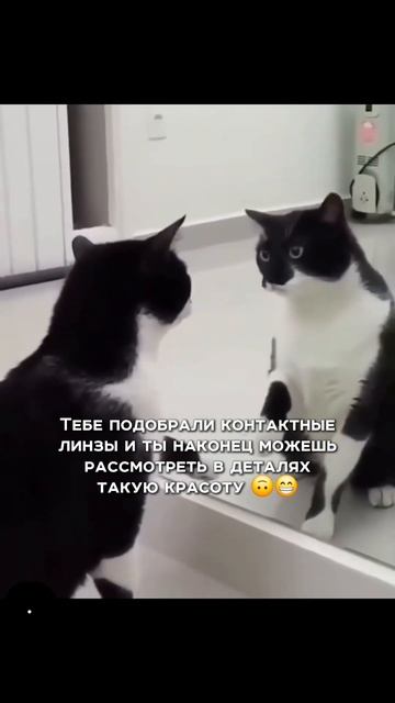 Хотя... помимо красоты этого мира начинаешь видеть и его недостатки