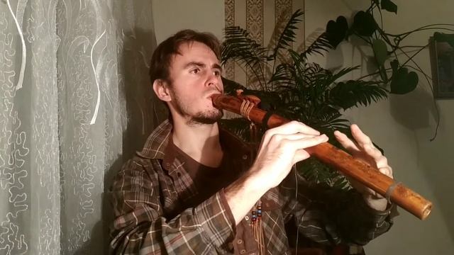 Звездное мерцание (F# flute)