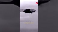 Герои Великой Победы: улица Симонова в Авиастроительном районе Казани #казань #татарстан #история