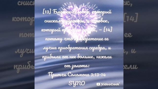 VideoCook_20250421_084903272.mp4