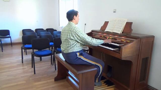 Bicycle Built For Two - Organist Bujor Florin Lucian playing on the Yamaha Electone E-30 Organ