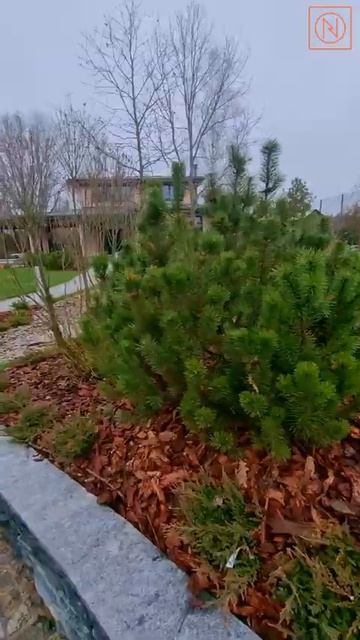 СКАЗКА НА УЧАСТКА! ЛАНДШАФТНЫЙ ДИЗАЙН, СПОРТИВНАЯ ПЛОЩАДКА, АЛЬПИЙСКИЕ ГОРКИ #naturi #ландшафт