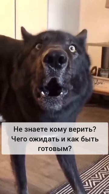 Как быть готовым к проверкам?!