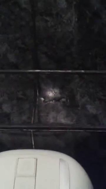 Меня затопили соседи