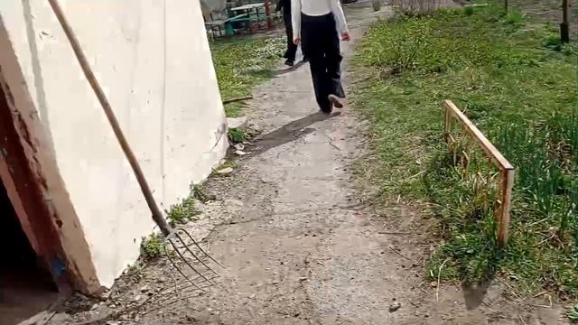 сад