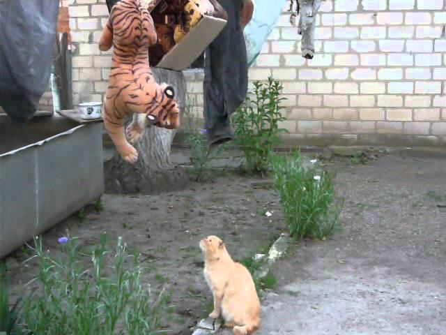 Неужели хмырь повесился?