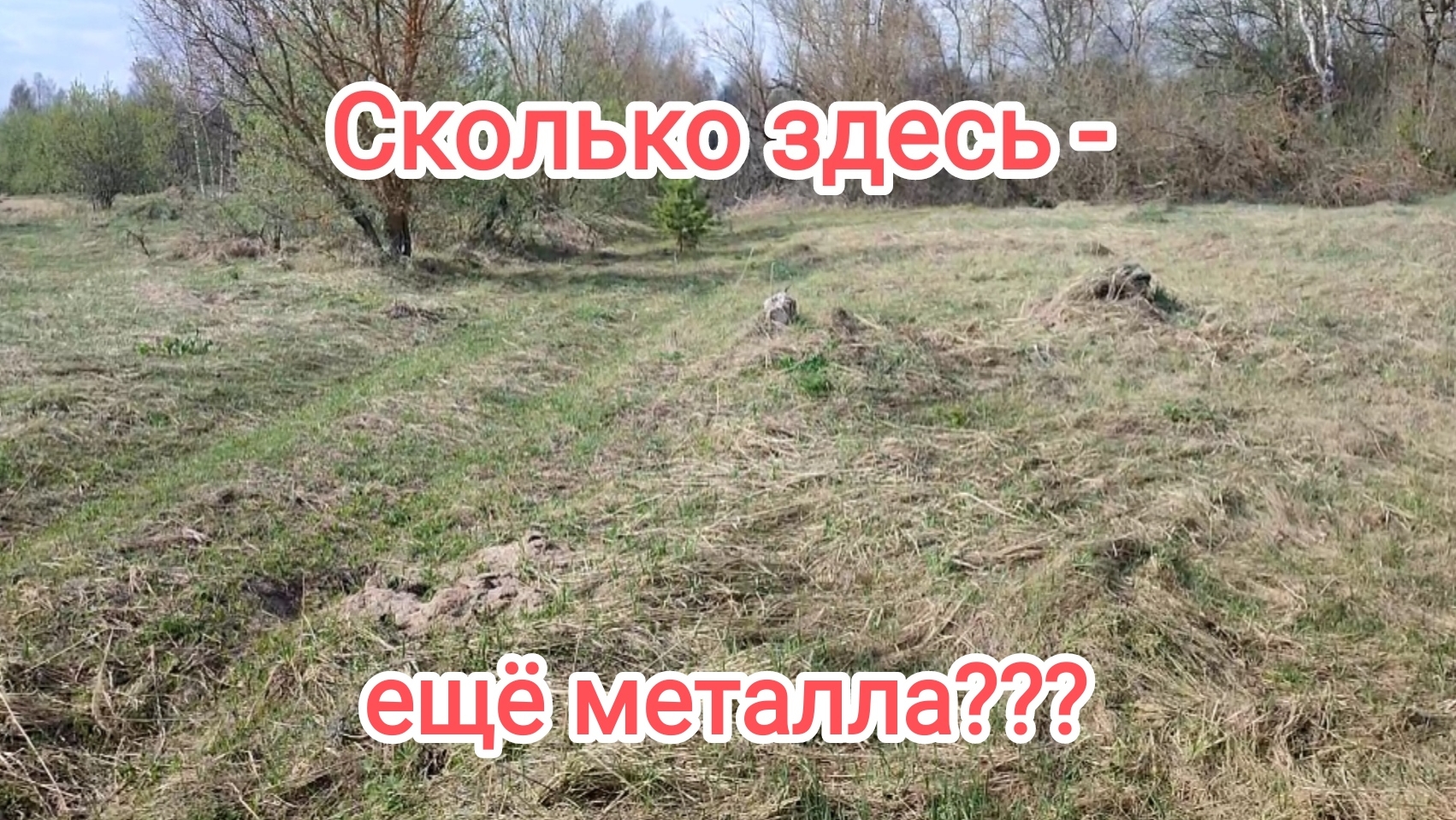 Кто здесь только не копал!!!А металл всеравно есть!!!