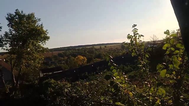video-66af3f7849606a6d5822999753aecf34-V.mp4