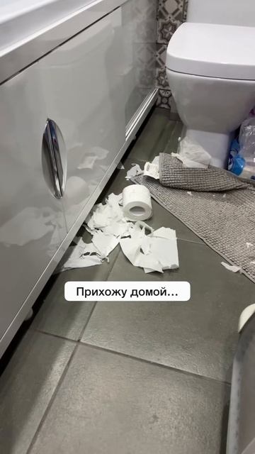 Конечно, это же мы у тебя живем, а не ты у нас🙈#котики #смешныеживотные