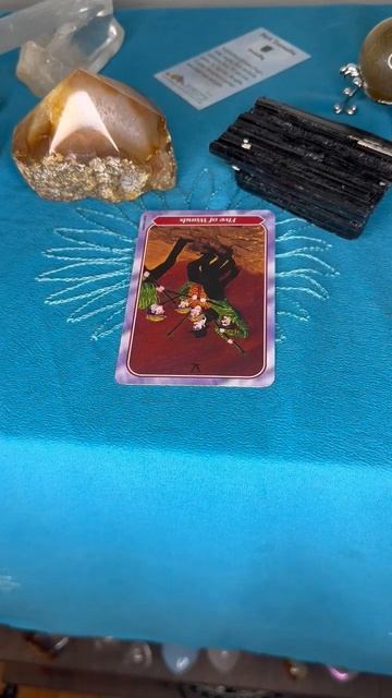 Be Bold - Daily One Card Tarot Reading - Queen of Wands Tarot Mistress of Manifesting