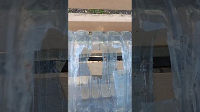 20.04.25. ... пополнила кормушки для воробьев