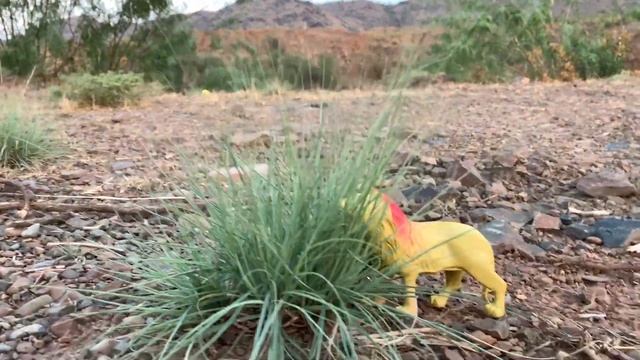 Animals collection on mountain | animals in jangle | different animals loin cow | leopard tiger goa
