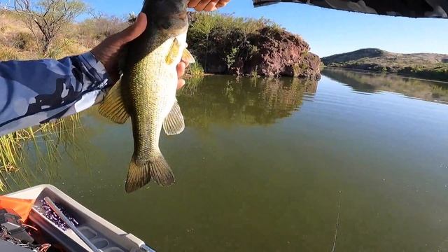 Bass Pro Shops Pond Prowler 8 Boat - Sun Dolphin - Pelican - Mini Boat