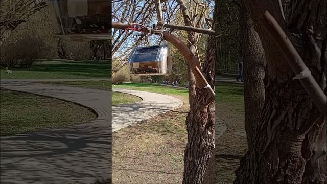 20.04.25.  ... сняла зимние кормушки для мелких птиц, навесила новую летнюю кормушку