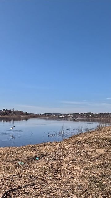 г. Тотьма солнечное утро всем хорошего дня