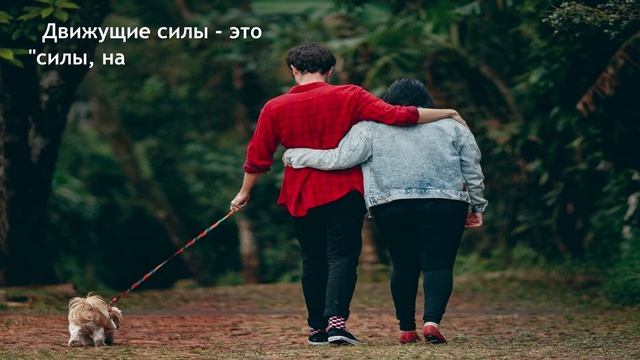 Курт Левин. Теория поля // Цитаты