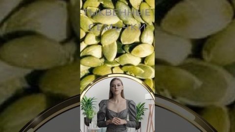 ТЫКВЕННЫЕ СЕМЕЧКИ / Польза и Вред