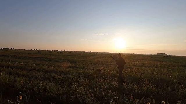 Перепел 22.08.21