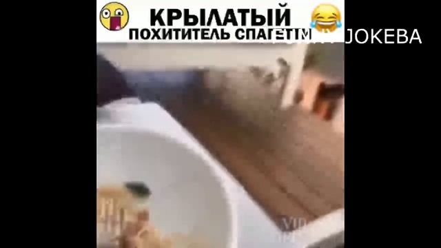 ЗАСМЕЯЛСЯ ПРОИГРАЛ/РЖАЛ 30 МИНУТ