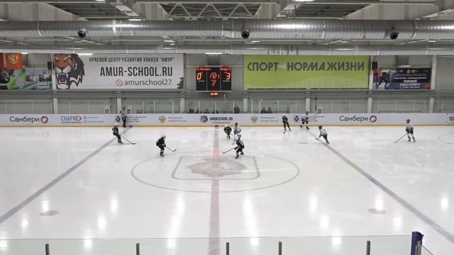 Live 📢 | Амур-2 - Полярные волки. 11.11.2021. Прямая трансляция