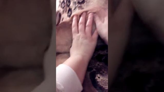 Милый кролик Ушастик