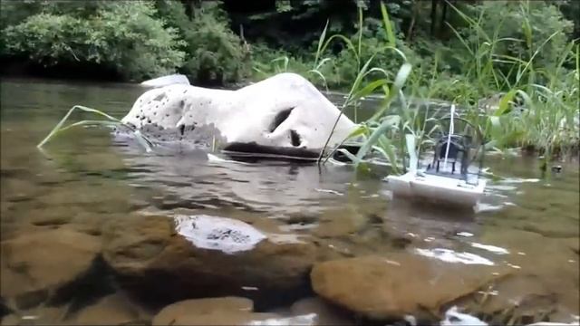 Aquacraft Alligator Tours River Run