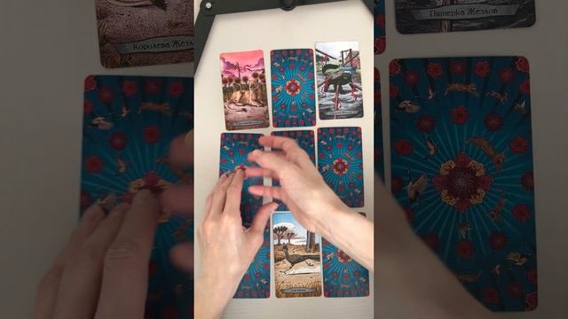 Таро прогноз Овен март 2023💖🌷🌈🌞💫