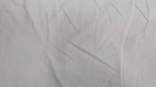 Солодке життя.#fantasticworldofKatie