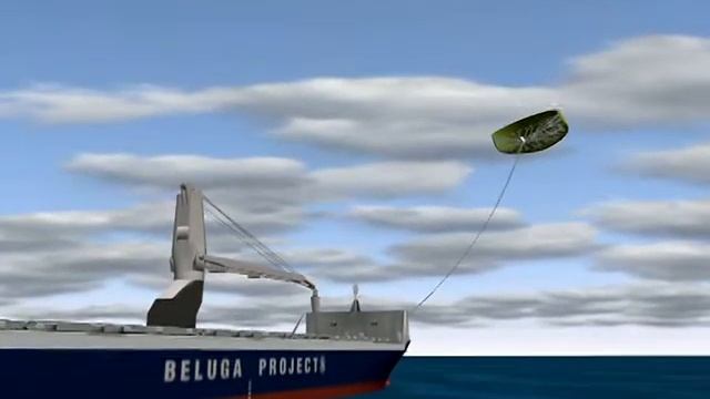 Beluga Animation