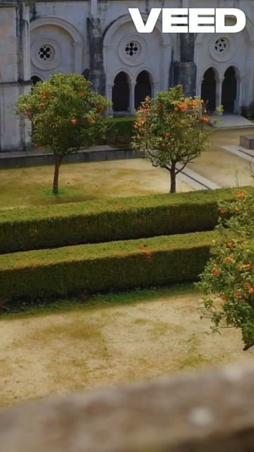 Тимьян- Лекарство от кашля! #тимьян #кашель #народнаямедицина #лечебныесвойства #здоровье