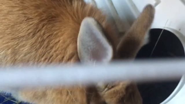 @NickDan.1603  на улице - заморозки