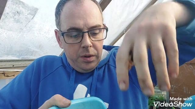 pricking out my onions and sowing some seed garden update