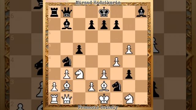 Francois Cathely vs Mirsad Hadzikaric || Cannes op-C (1995), Cannes FRA, rd 9
