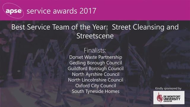 Best Service Team of the Year: Street Cleansing and Streetscene Service (Public Realm)
