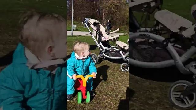 я в парке там где гуси