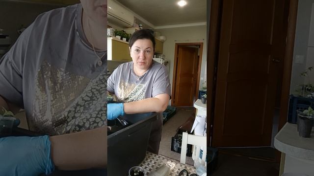 Чуть не попались на удочку 🤦♀️