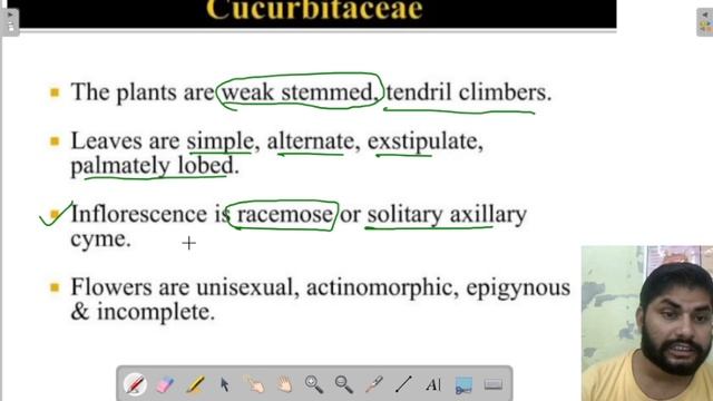BSc 2nd year (3rd Sem) Botany| Unit-3 Angiospermic Families 1\ Family Cucurbitaceae|| BSc world