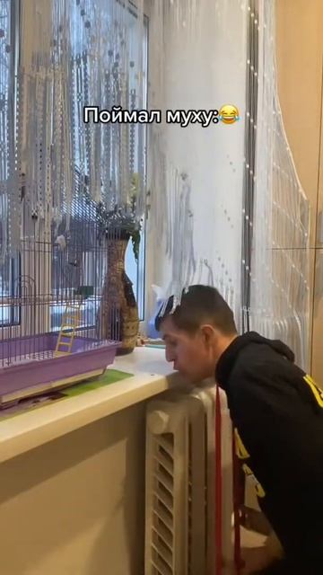 Поймал муху
