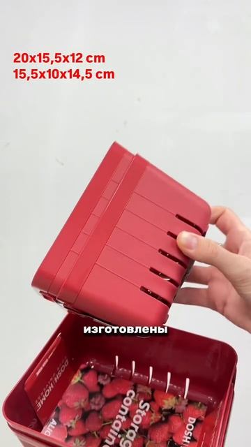 Корзины для хранения фруктов и овощей DOSH HOME