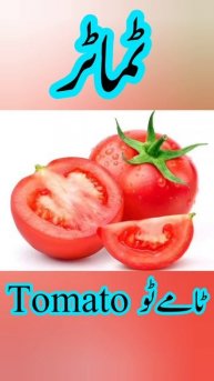 Tomato 🍅 ٹماٹر 🍅