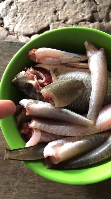 Cá đồng nhiều loại chưa biết chế biến món gì